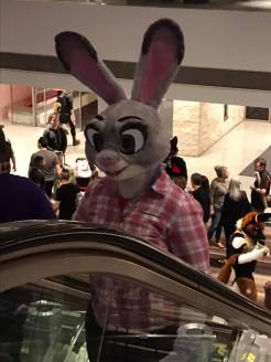 bunny escalator